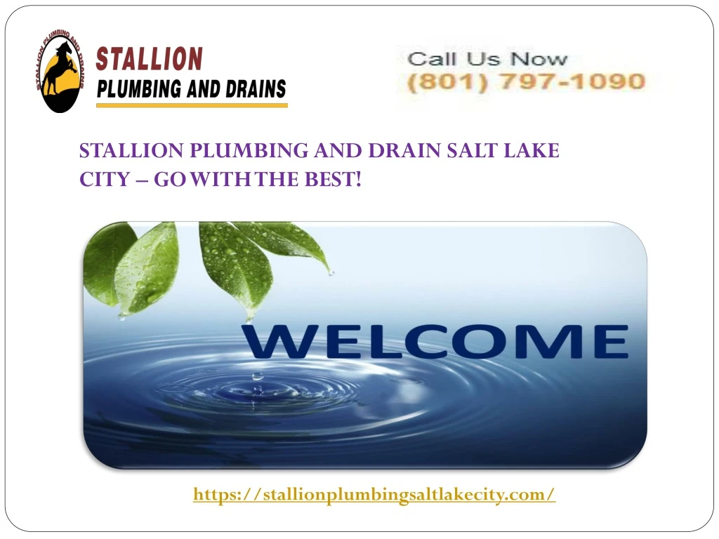 stallion plumbing and drain salt lake city