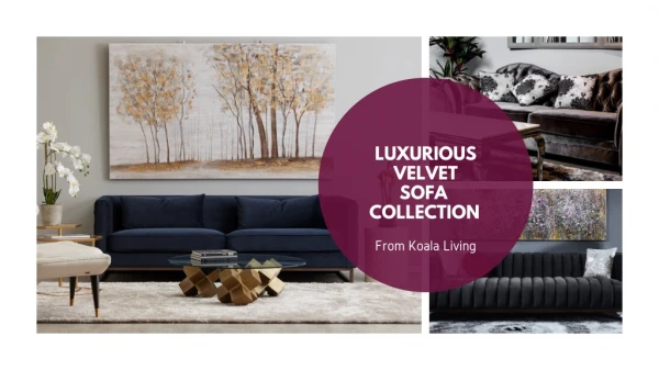 Velvet Sofa Collection from Koala Living