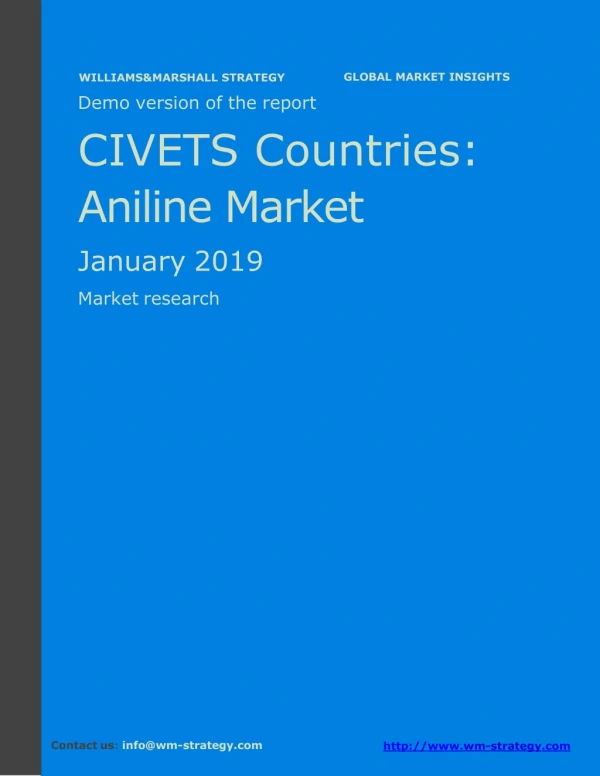 WMStrategy Demo CIVETS Countries Aniline Market January 2019