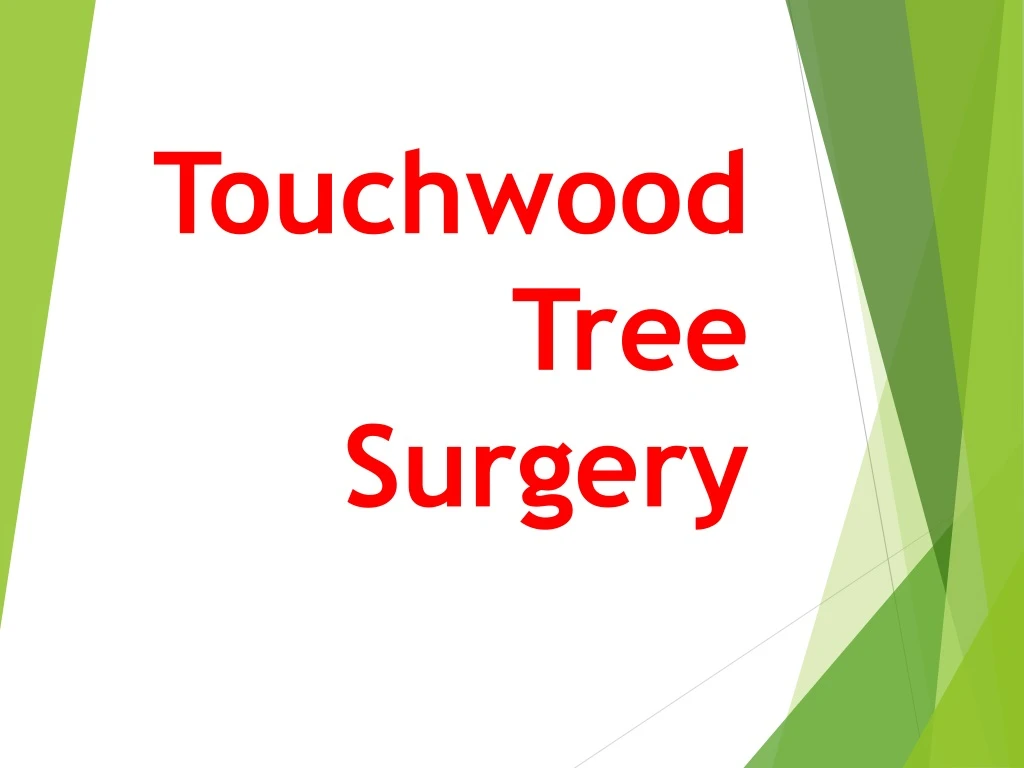 touchwood tree surgery