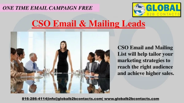 CSO Email & Mailing Leads