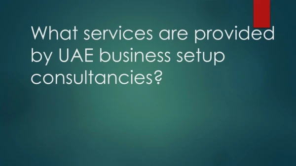 What services are provided by UAE business setup consultancies?