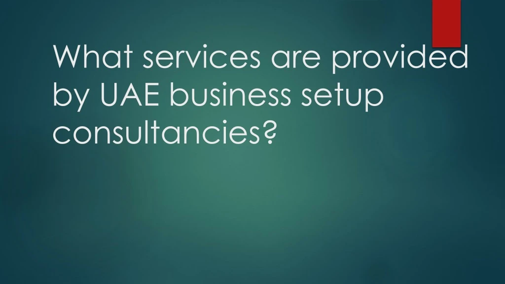 what services are provided by uae business setup consultancies