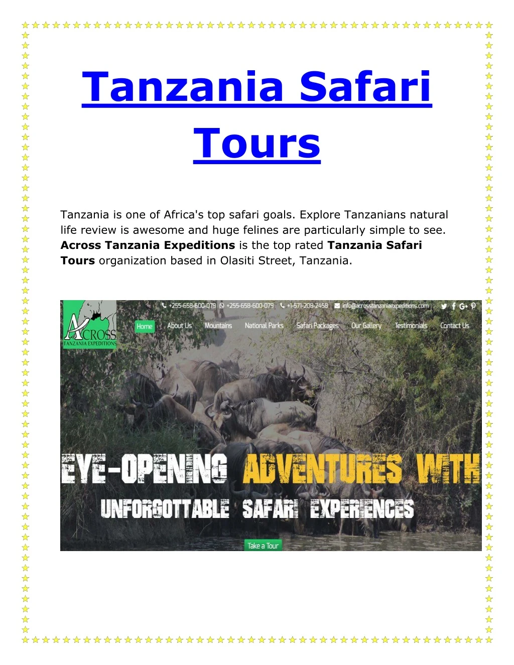 tanzania safari tours
