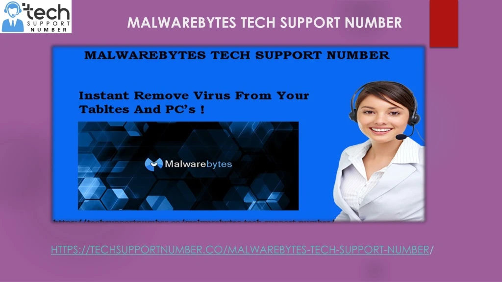 malwarebytes tech support number