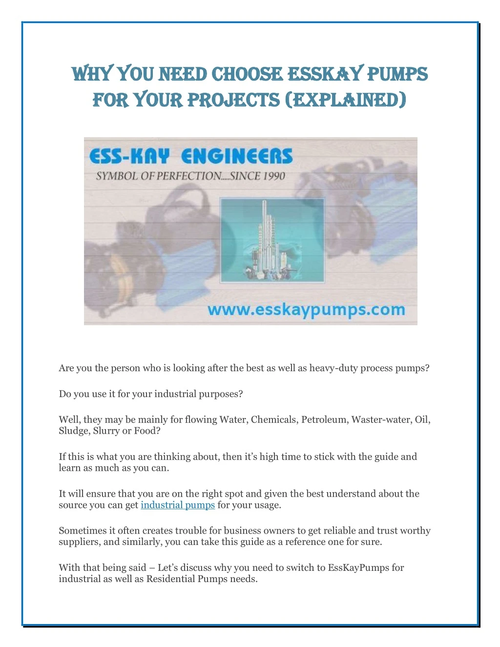 why you need choose esskay pumps why you need
