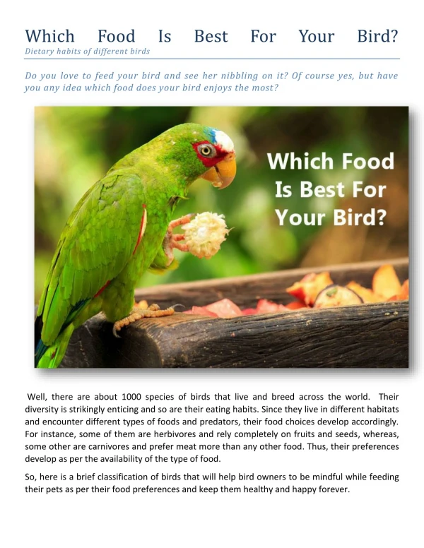Which Food Is Best For Your Bird? Dietary habits of different birds