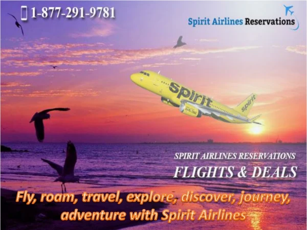 Fly, roam, travel, explore, discover, journey, adventure with Spirit Airlines