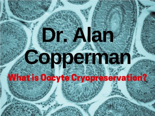 Dr. Alan Copperman - What is Oocyte Cryopreservation