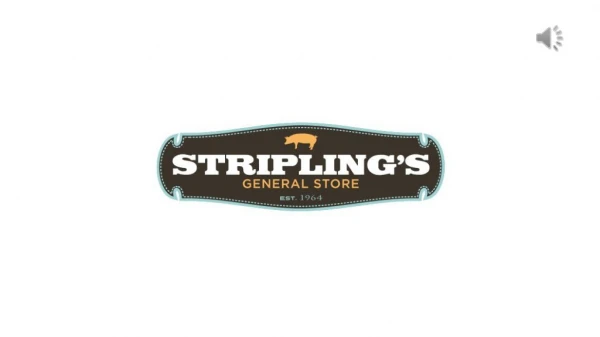 Stripling's General Store Franchise