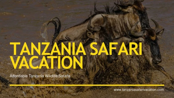 Best Honeymooners Safaris in Tanzania