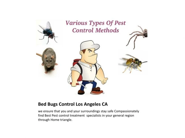 Bed Bugs Control Companies Los Angeles CA