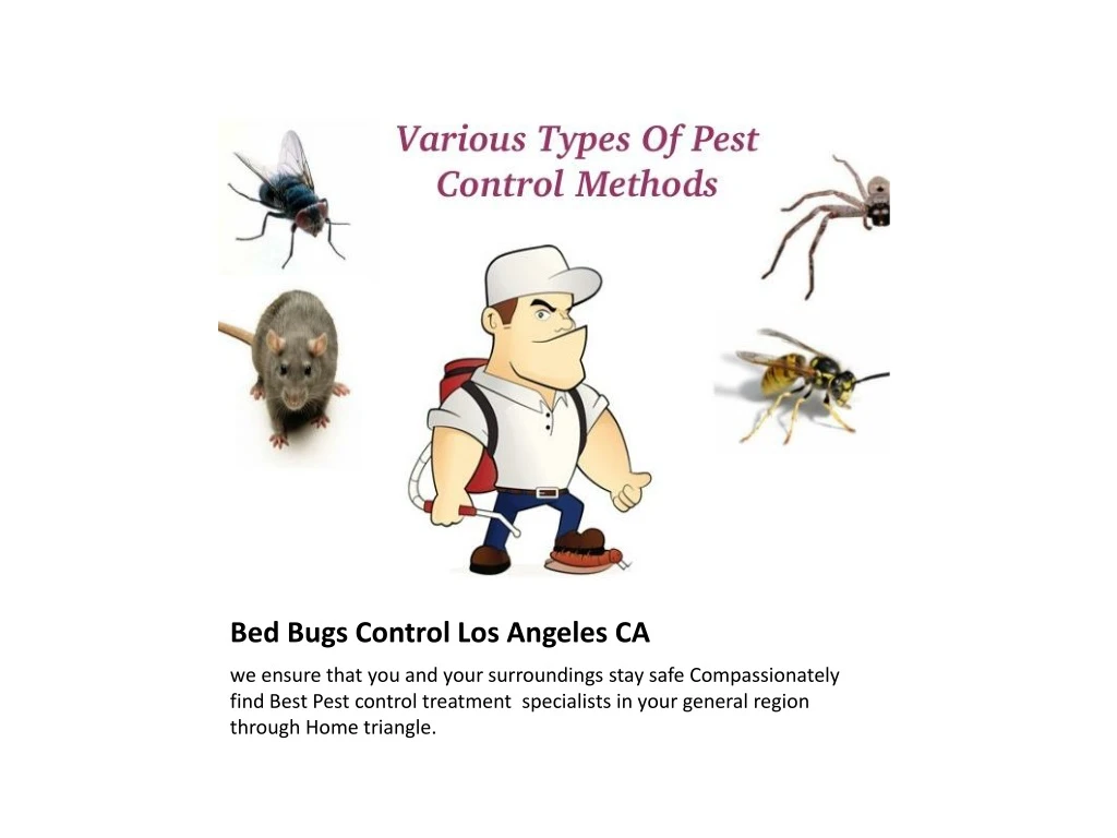 bed bugs control los angeles ca