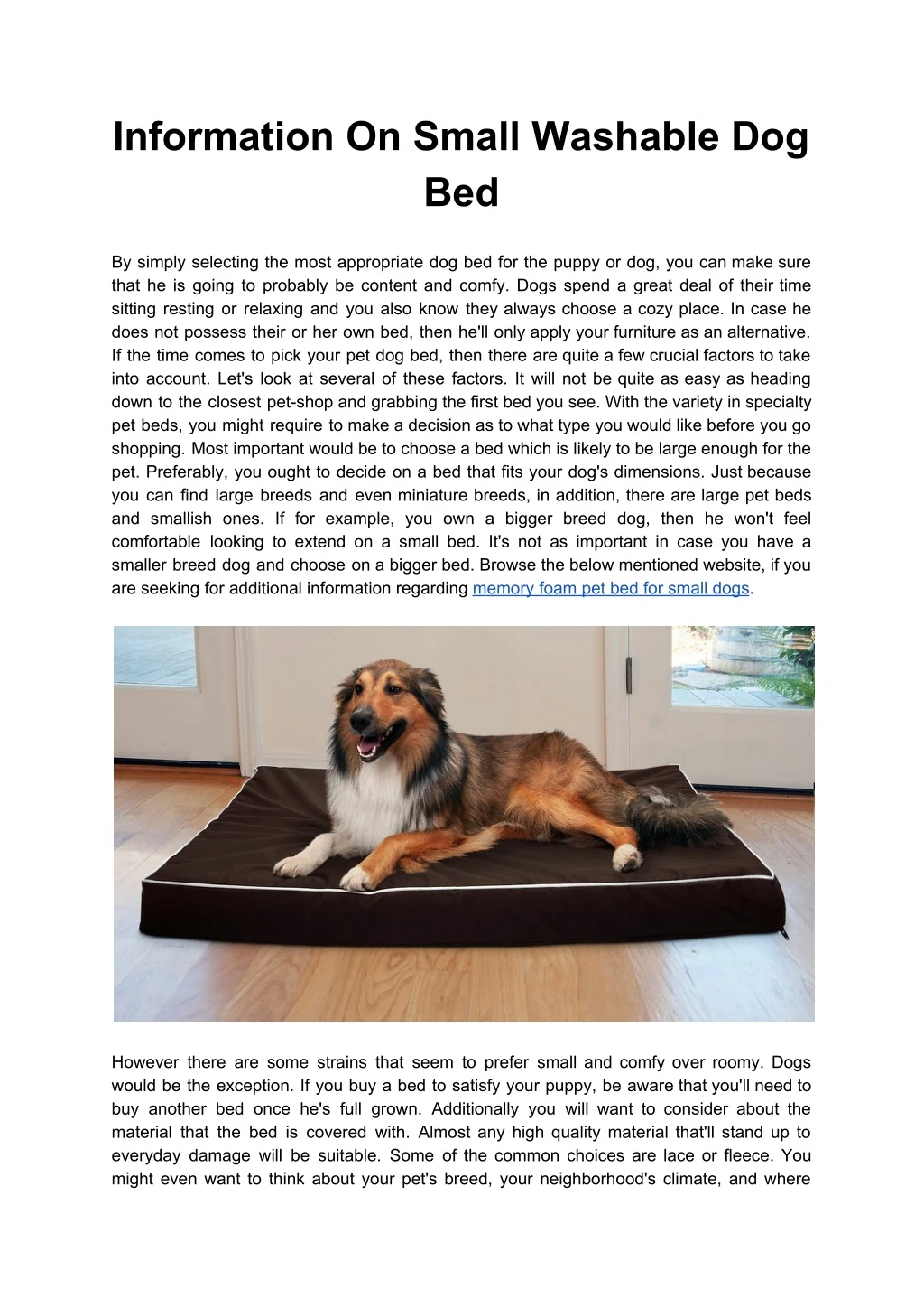 information on small washable dog bed