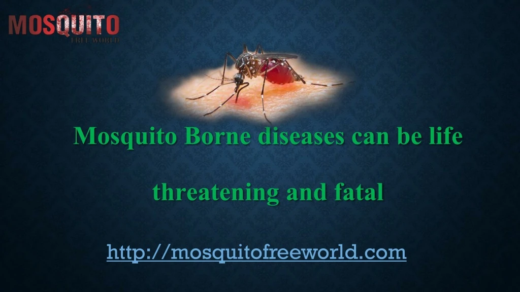 mosquito borne diseases can be life threatening and fatal