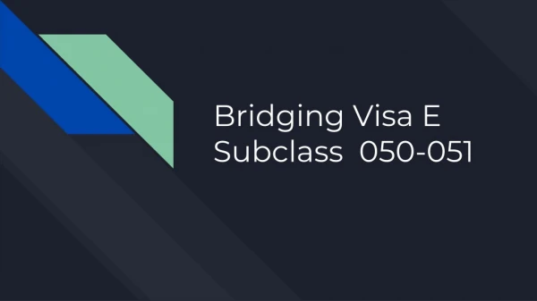 Bridging Visa E