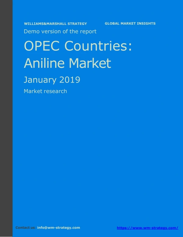 WMStrategy Demo OPEC Aniline Market January 2019