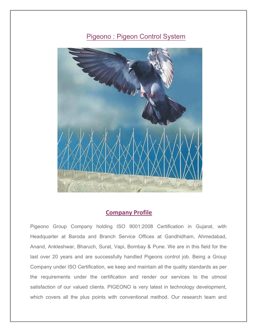 pigeono pigeon control system