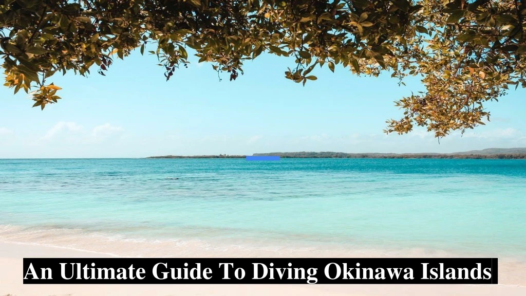 an ultimate guide to diving okinawa islands