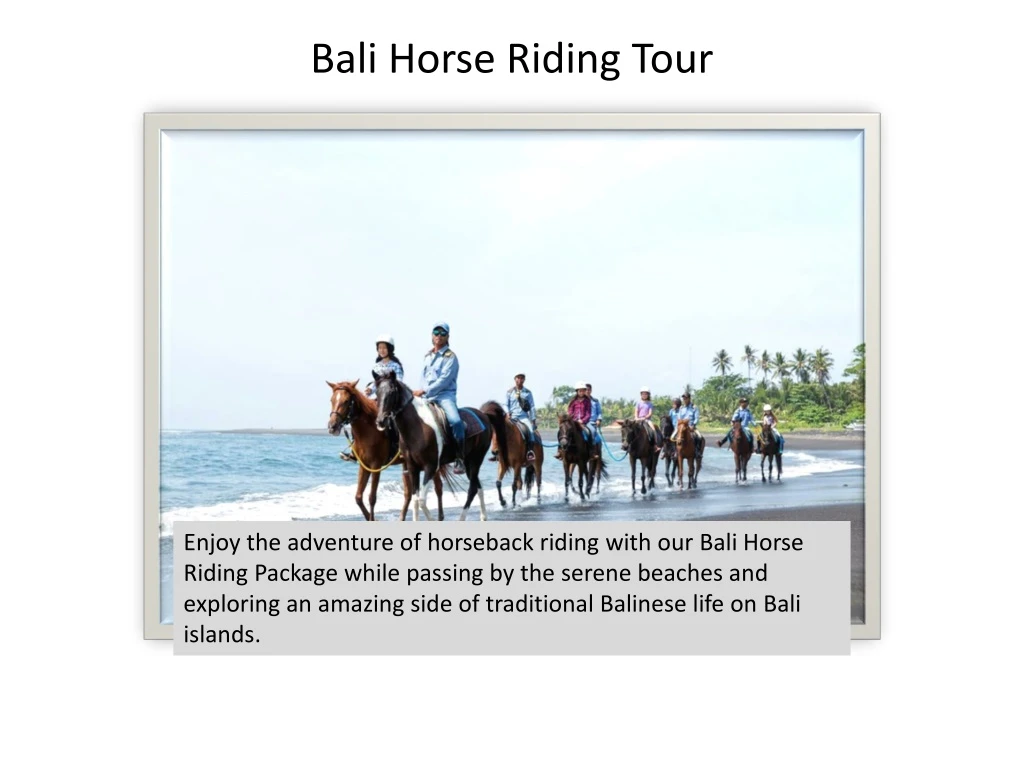 bali horse riding tour