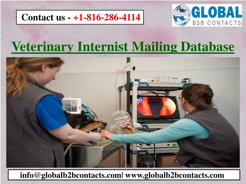 veterinary internist mailing database