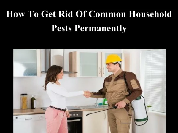 How to Get Rid of Common Household Pests Permanently