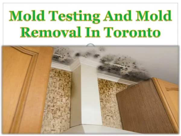 Mold Testing And Mold Removal In Toronto