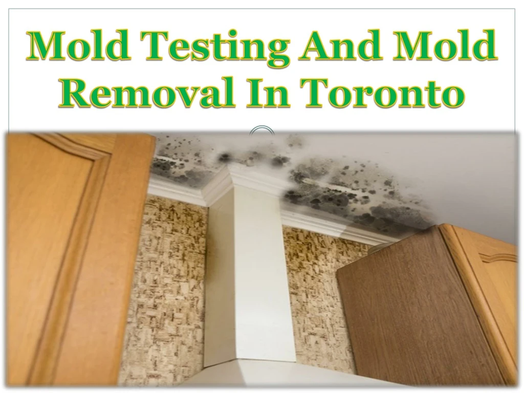 mold testing and mold removal in toronto
