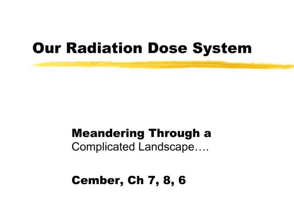 Our Radiation Dose System