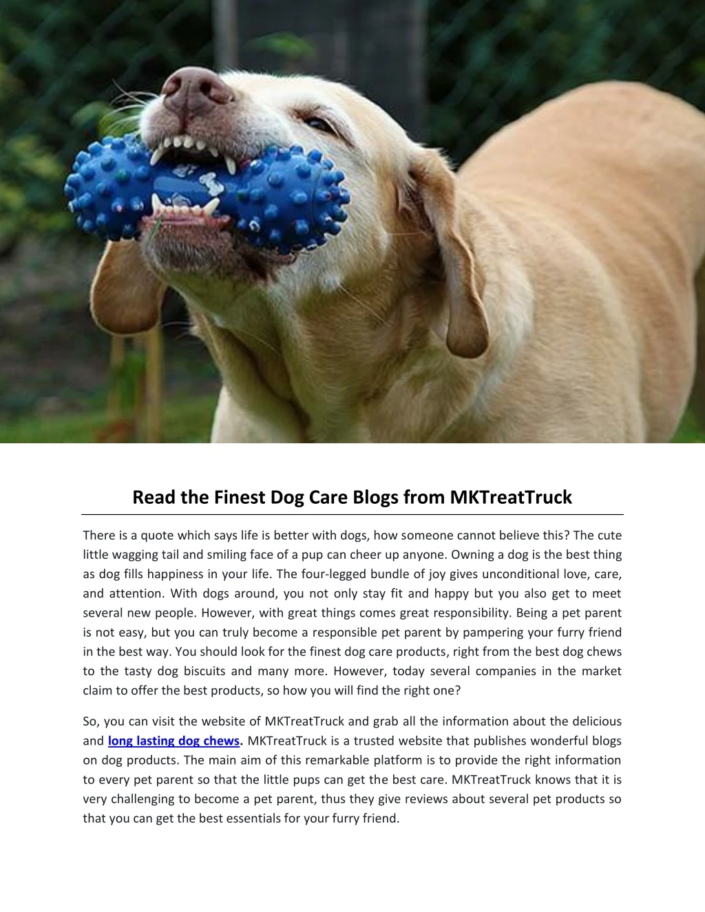 read the finest dog care blogs from mktreattruck