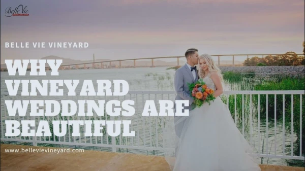 Best Vineyard Wedding Venues- Belle Vie Vineyard and Event Center