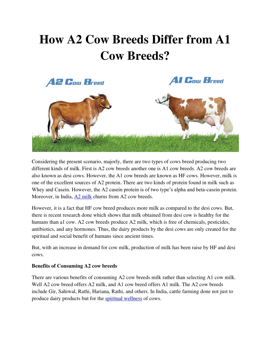 how a2 cow breeds differ from a1 cow breeds
