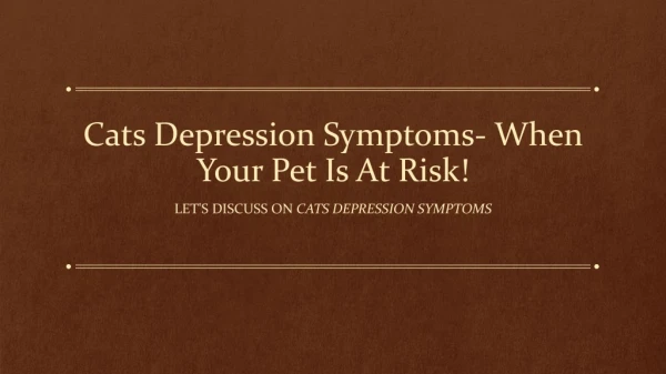 Cats Depression Symptoms- When Your Pet Is At Risk!