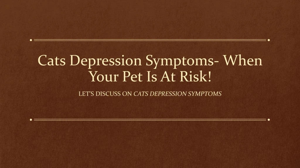 cats depression symptoms when your pet is at risk