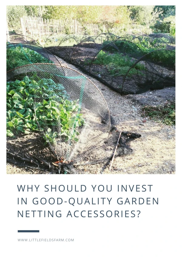 Why Should You Invest In Good-Quality Garden Netting Accessories?