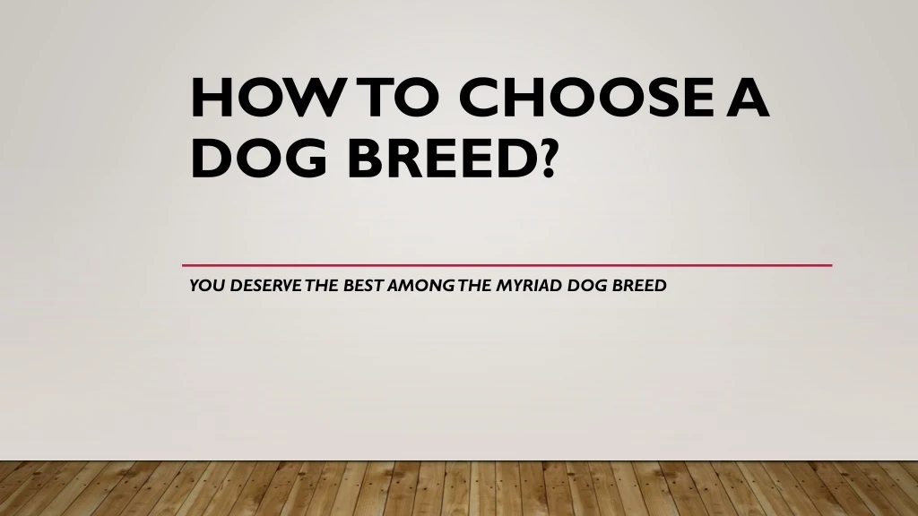 how to choose a dog breed