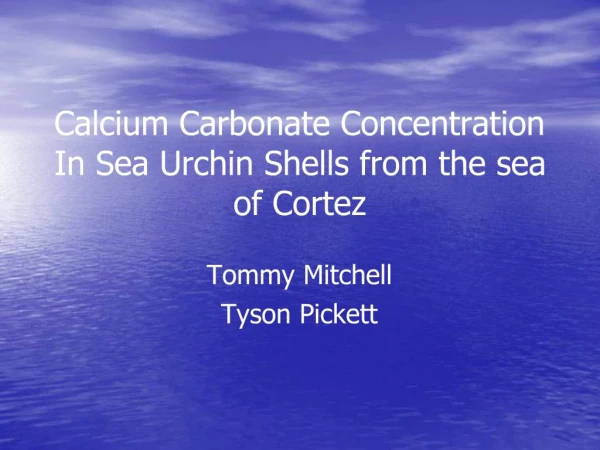 Calcium Carbonate Concentration In Sea Urchin Shells from the sea of Cortez