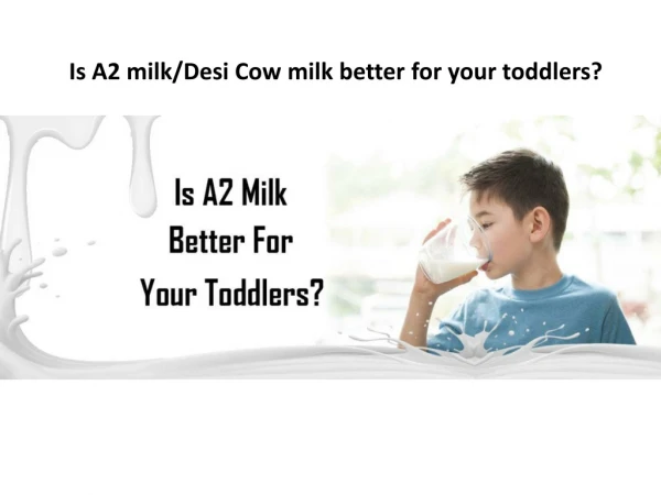 Is A2 milk/Desi Cow milk is better for your toddler?| GFO Farming