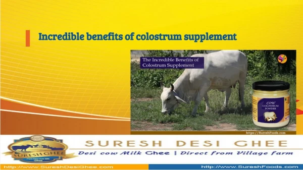 Benefits of colostrum powder – Bovine Colostrum