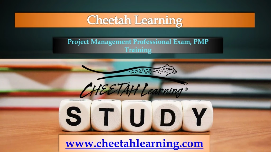 cheetah learning