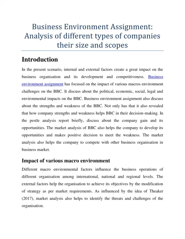 Business Environment Assignment: Analysis of different types of companies their size and scopes