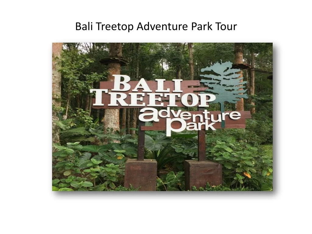 bali treetop adventure park tour