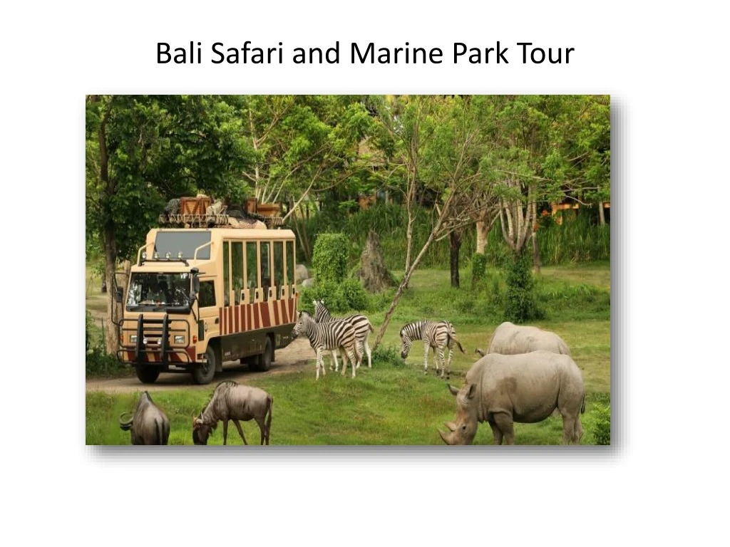 bali safari and marine park tour