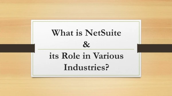 What is NetSuite and its Role in Various Industries?