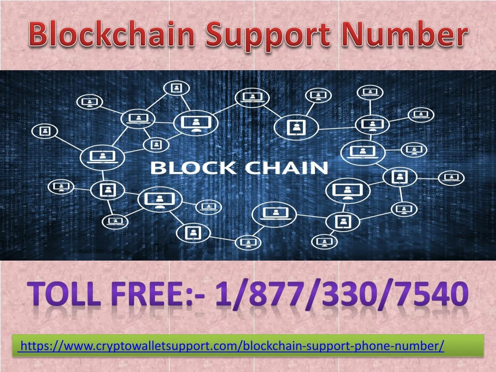 blockchain s upport number