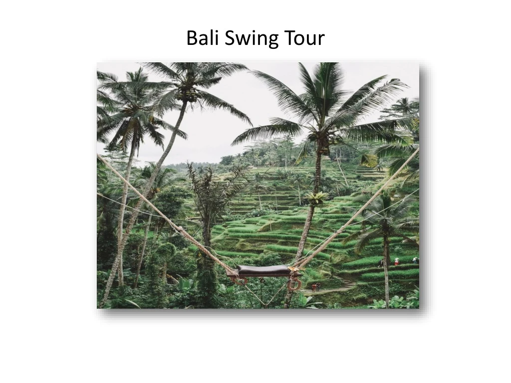 bali swing tour