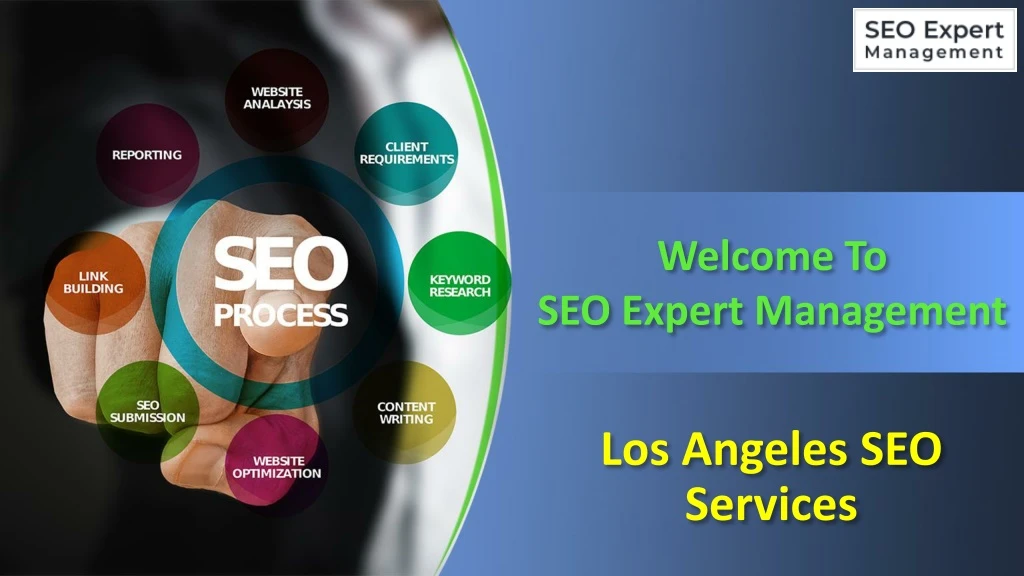 welcome to seo expert management
