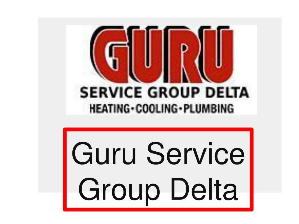 guru service group delta