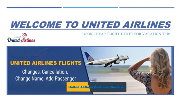 Call at United Airlines Customer Service Phone Number for Help