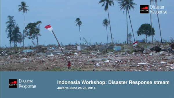 Indonesia Workshop: Disaster Response stream